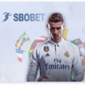 利記體育（盛帆娛樂SBOBET）